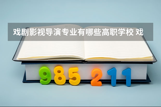 戏剧影视导演专业有哪些高职学校 戏剧影视导演专业介绍