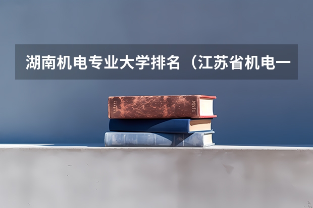 湖南机电专业大学排名（江苏省机电一体化大专排名）