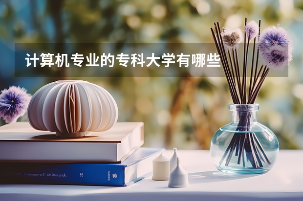 计算机专业的专科大学有哪些