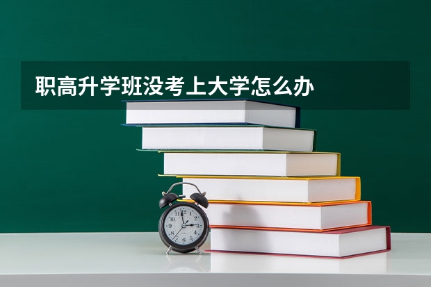 职高升学班没考上大学怎么办