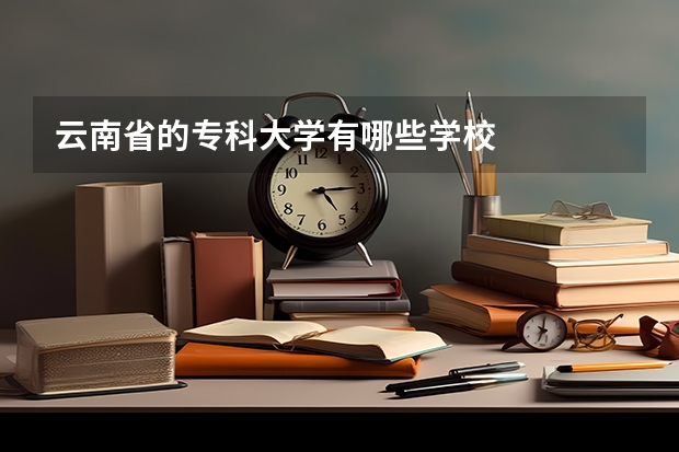 云南省的专科大学有哪些学校