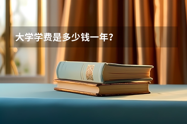 大学学费是多少钱一年？