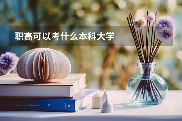 职高可以考什么本科大学