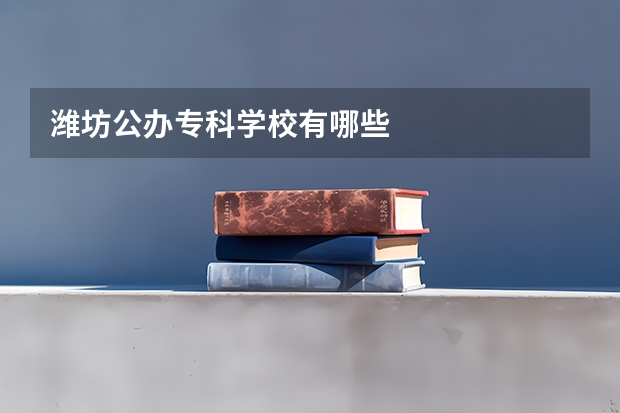 潍坊公办专科学校有哪些